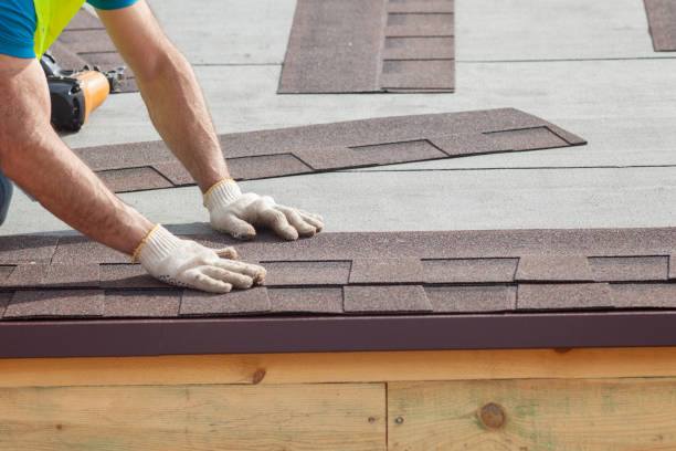 Best Roof Moss and Algae Removal  in Stone Ridge, NY